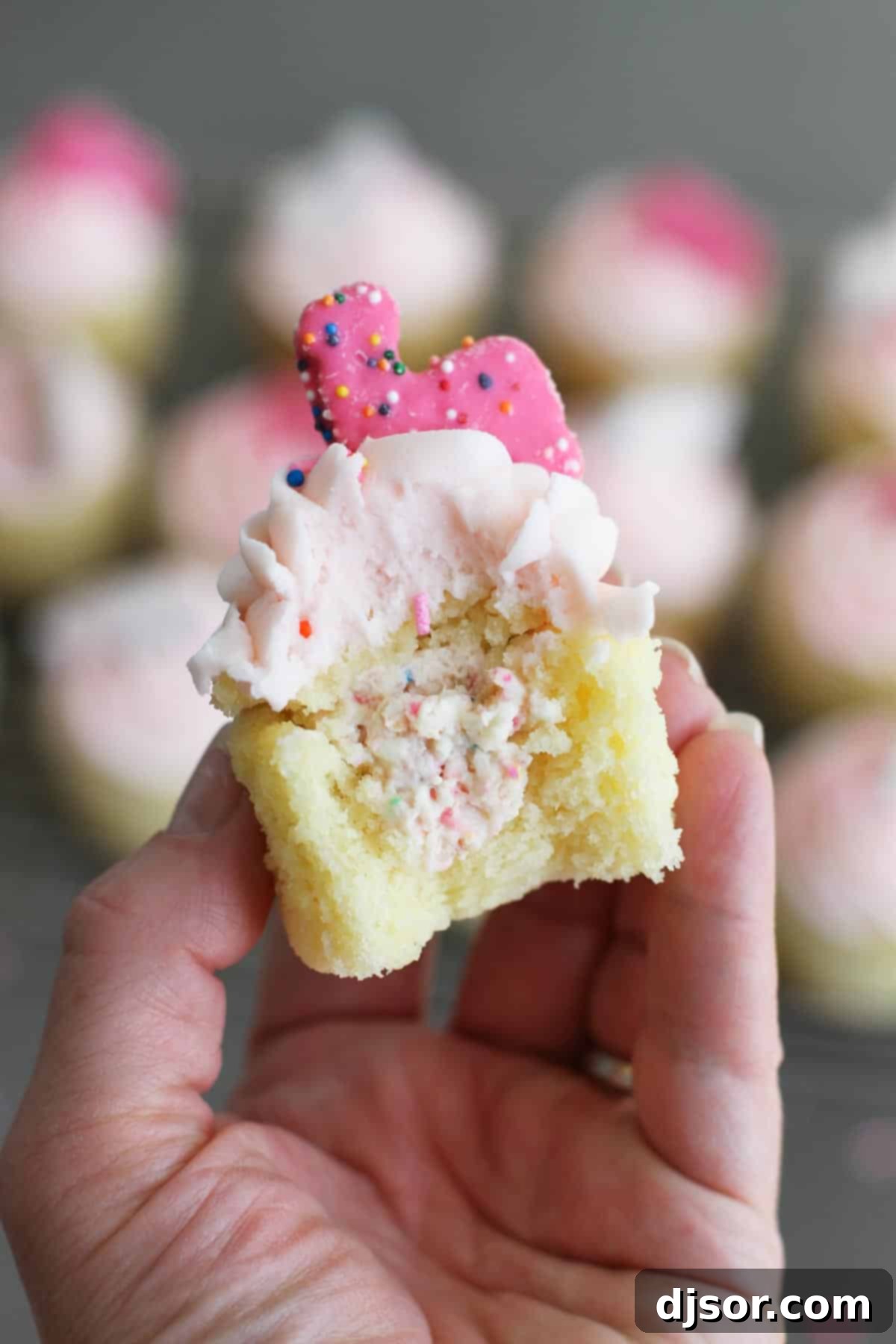 Exposed filling of a Circus Animal Cookie Cupcake for a detailed view. A close-up of a Circus Animal Cookie Cupcake, cut open to display its intricate filling.