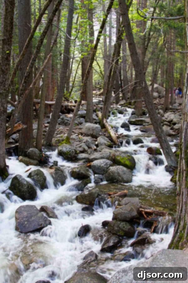 Yosemite National Park: Our Housekeeping Camp Adventure 12 Yosemite National Park and Housekeeping Camp