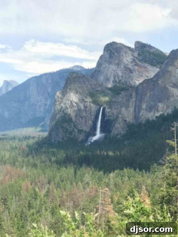 Yosemite National Park: Our Housekeeping Camp Adventure 13 Yosemite National Park and Housekeeping Camp