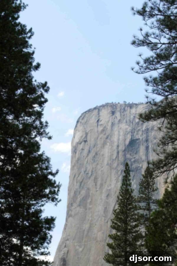 Yosemite National Park: Our Housekeeping Camp Adventure 16 Yosemite National Park and Housekeeping Camp