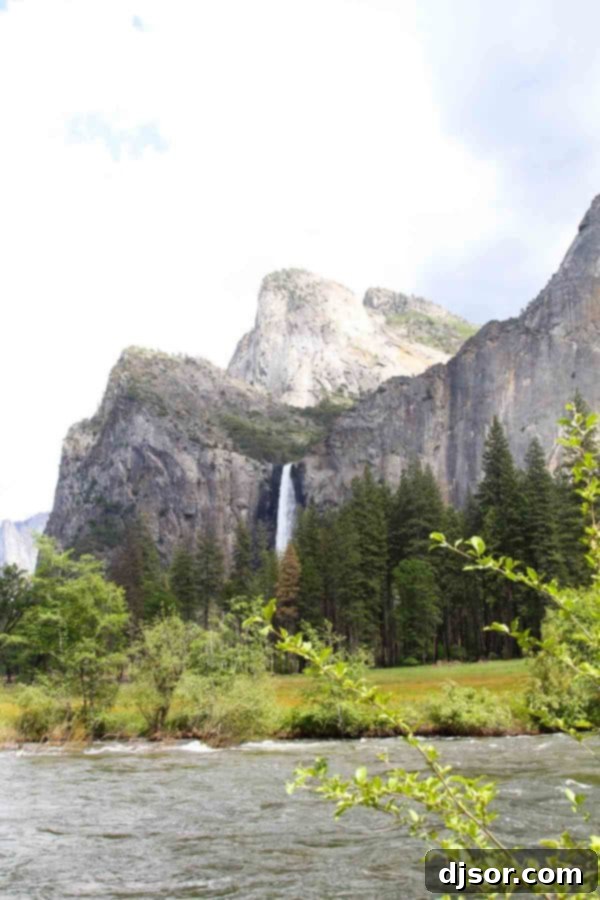 Yosemite National Park: Our Housekeeping Camp Adventure 18 Yosemite National Park and Housekeeping Camp