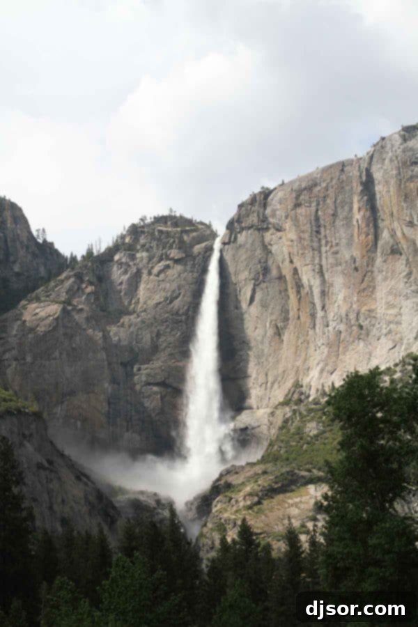 Yosemite National Park: Our Housekeeping Camp Adventure 19 Yosemite National Park and Housekeeping Camp