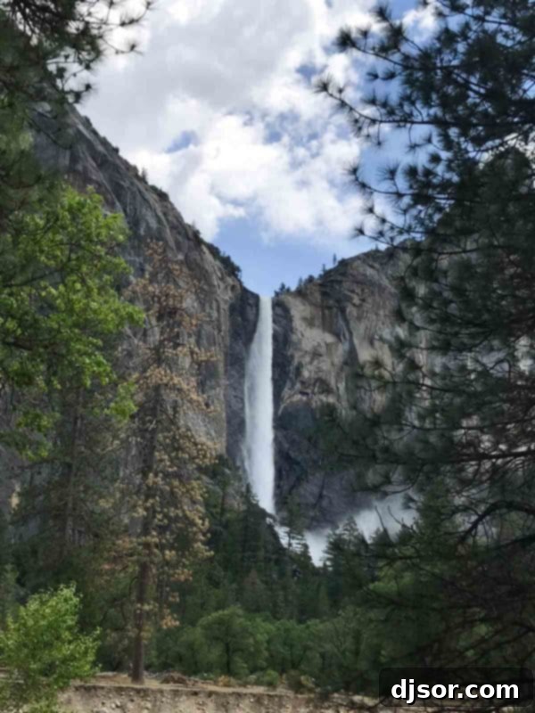 Yosemite National Park: Our Housekeeping Camp Adventure 22 Yosemite National Park and Housekeeping Camp