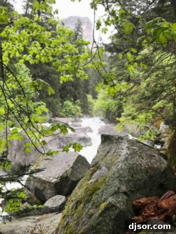 Yosemite National Park: Our Housekeeping Camp Adventure 25 Yosemite National Park and Housekeeping Camp