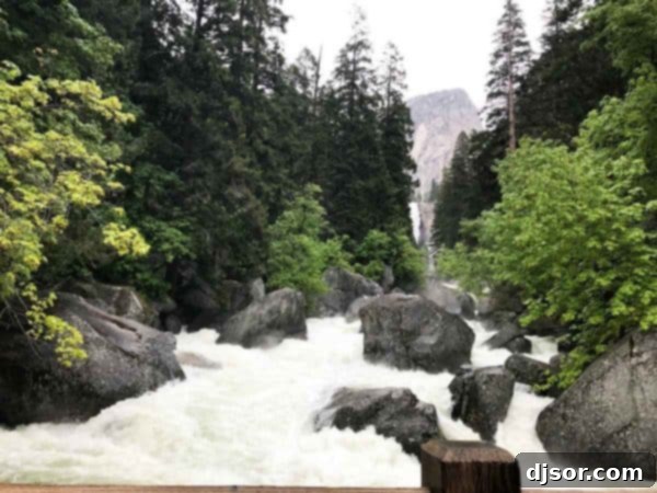 Yosemite National Park: Our Housekeeping Camp Adventure 28 Yosemite National Park and Housekeeping Camp