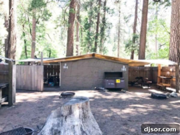 Yosemite National Park: Our Housekeeping Camp Adventure 9 Housekeeping Camp at Yosemite National Park