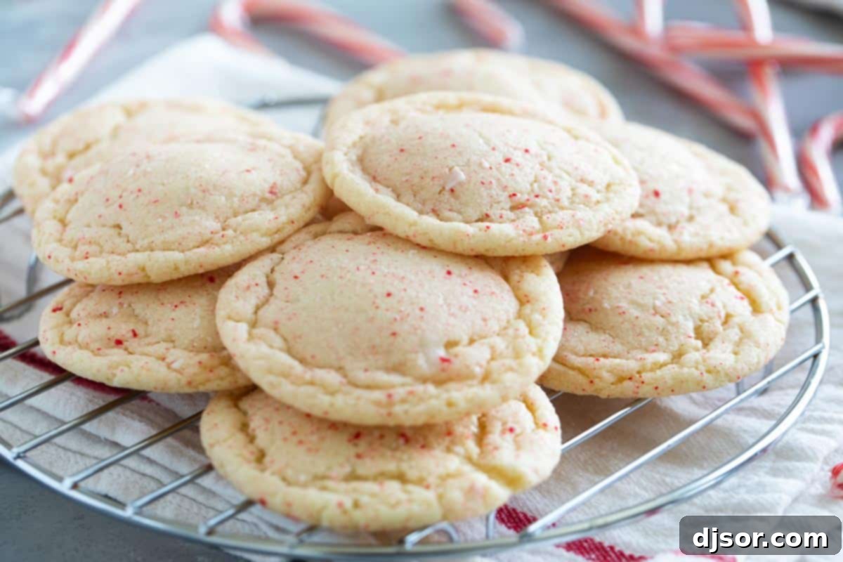 Festive Peppermint Snickerdoodles 2 Peppermint Snickerdoodles on a round cooling rack, showcasing their crinkly texture and festive appearance.