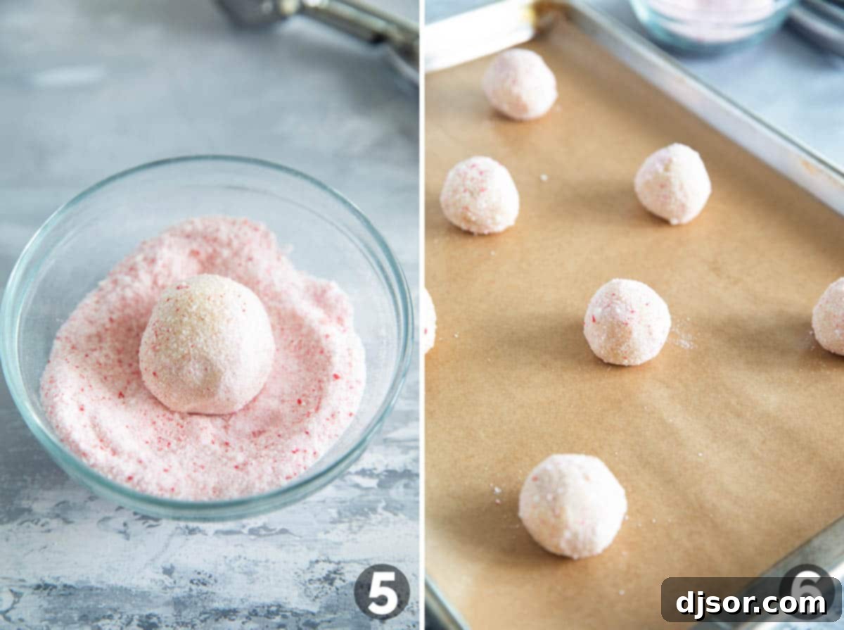 Festive Peppermint Snickerdoodles 6 Hands rolling a ball of peppermint snickerdoodle dough in a bowl of crushed candy canes and sugar.