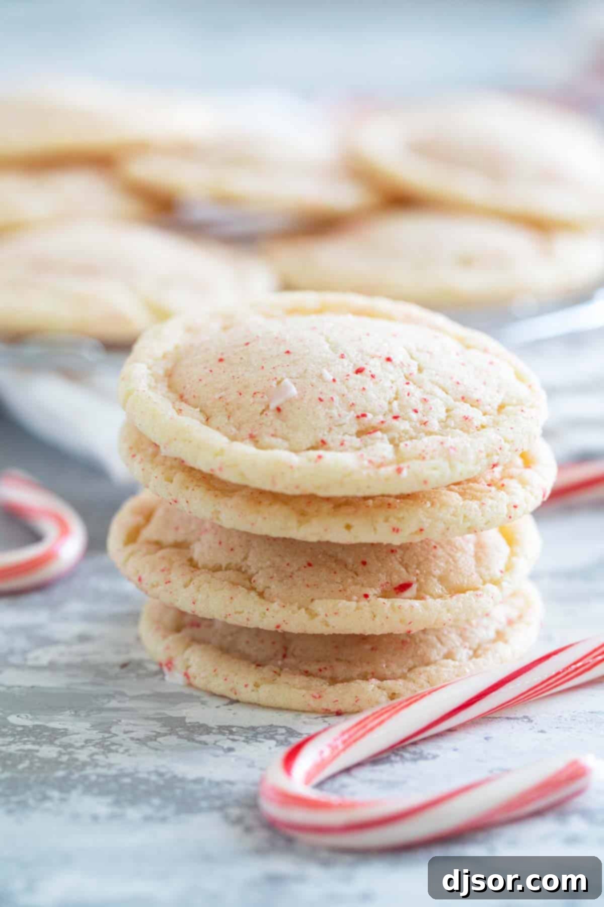 Festive Peppermint Snickerdoodles 8 Four perfectly baked Peppermint Snickerdoodles stacked on a white plate, highlighting their texture.