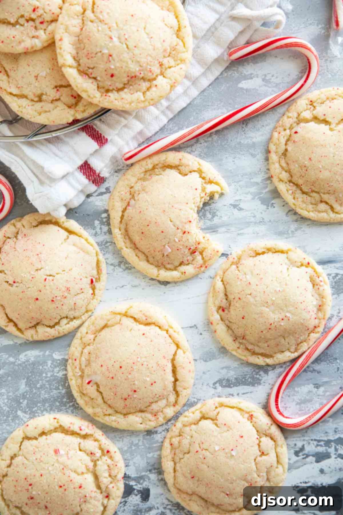 Festive Peppermint Snickerdoodles 9 A Peppermint Snickerdoodle with a bite taken out, showing its soft interior and candy cane specks.