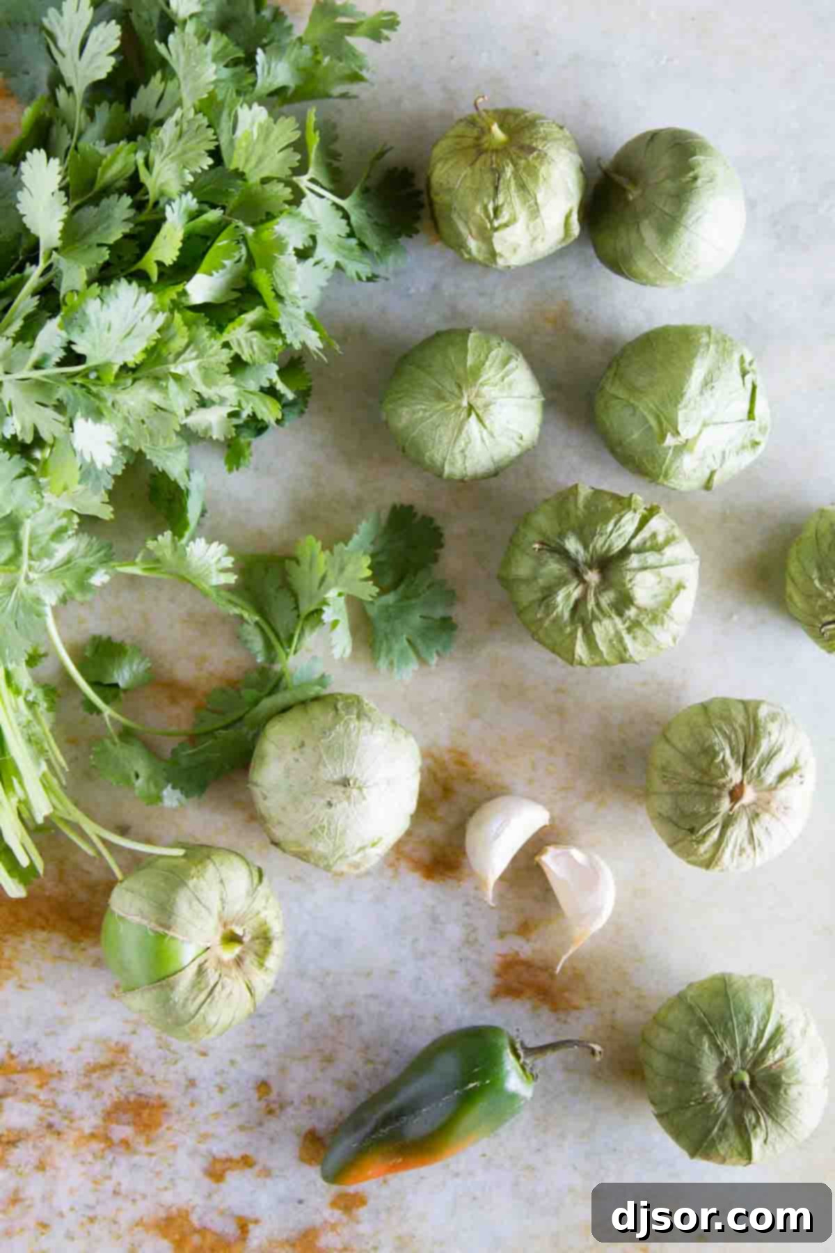 Fresh Ingredients for Tomatillo Salsa Verde Fresh ingredients laid out on a cutting board, including vibrant green tomatillos, a jalapeño, a bunch of cilantro, and garlic cloves, ready for making Salsa Verde.