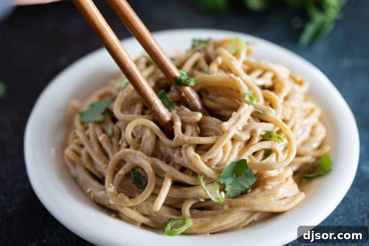 A single plate of Thai Peanut Noodles with chopsticks, emphasizing the delicious texture and ready-to-eat presentation.