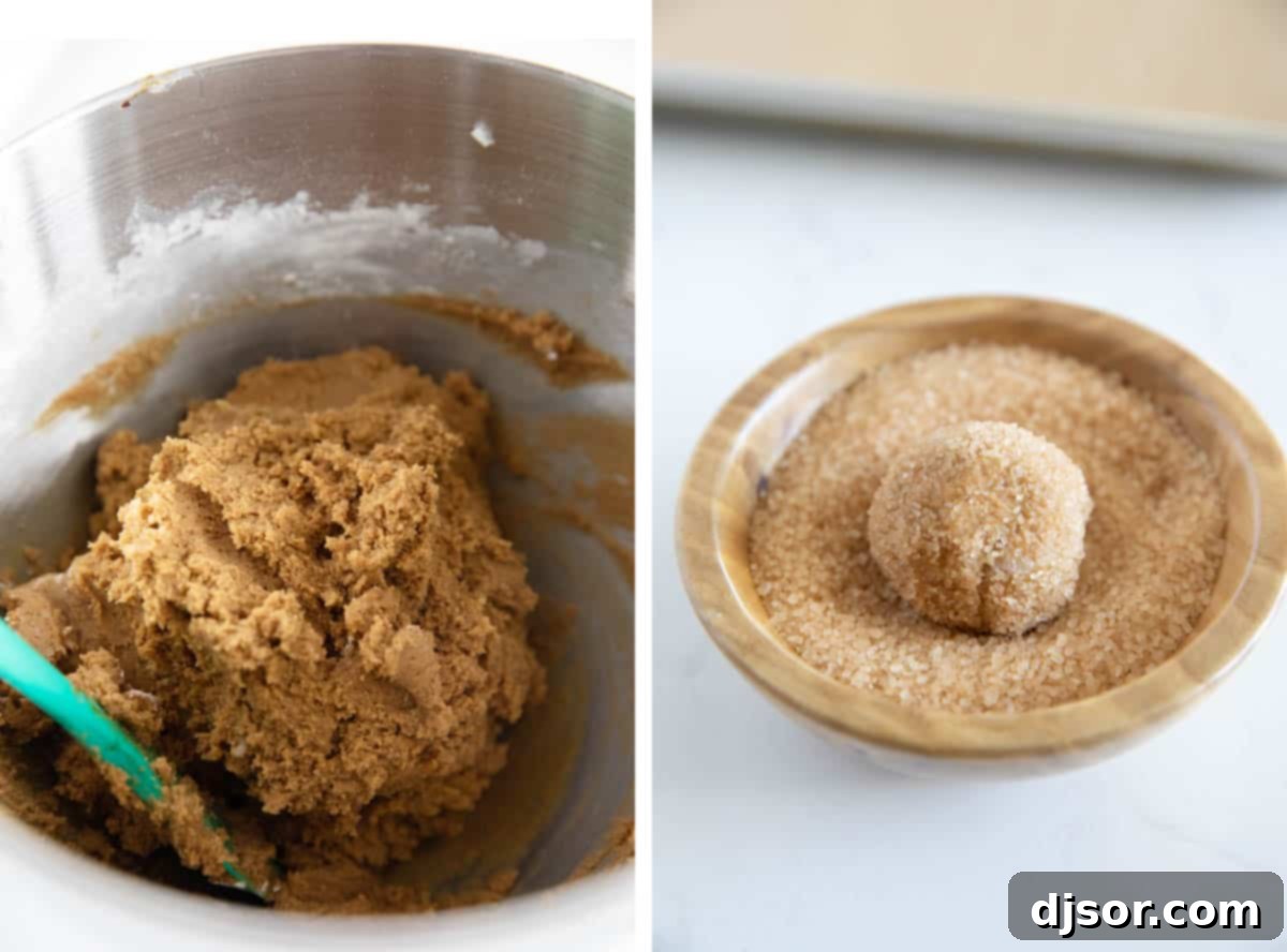 bowl with ginger cookie dough and dough ball being rolled in coarse sugar.