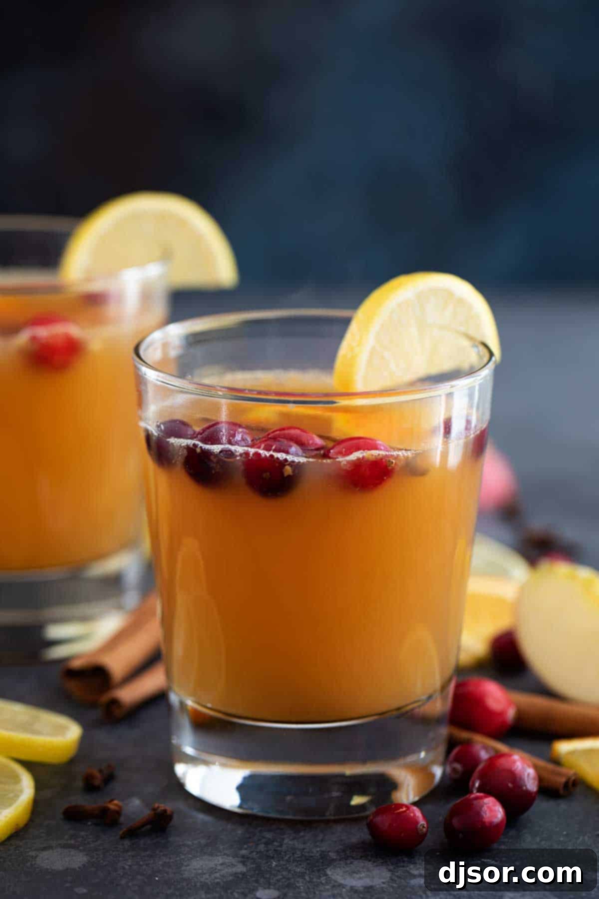 Hot Apple Cider in elegant glasses, garnished with fresh cranberries floating on top, perfect for a festive occasion.