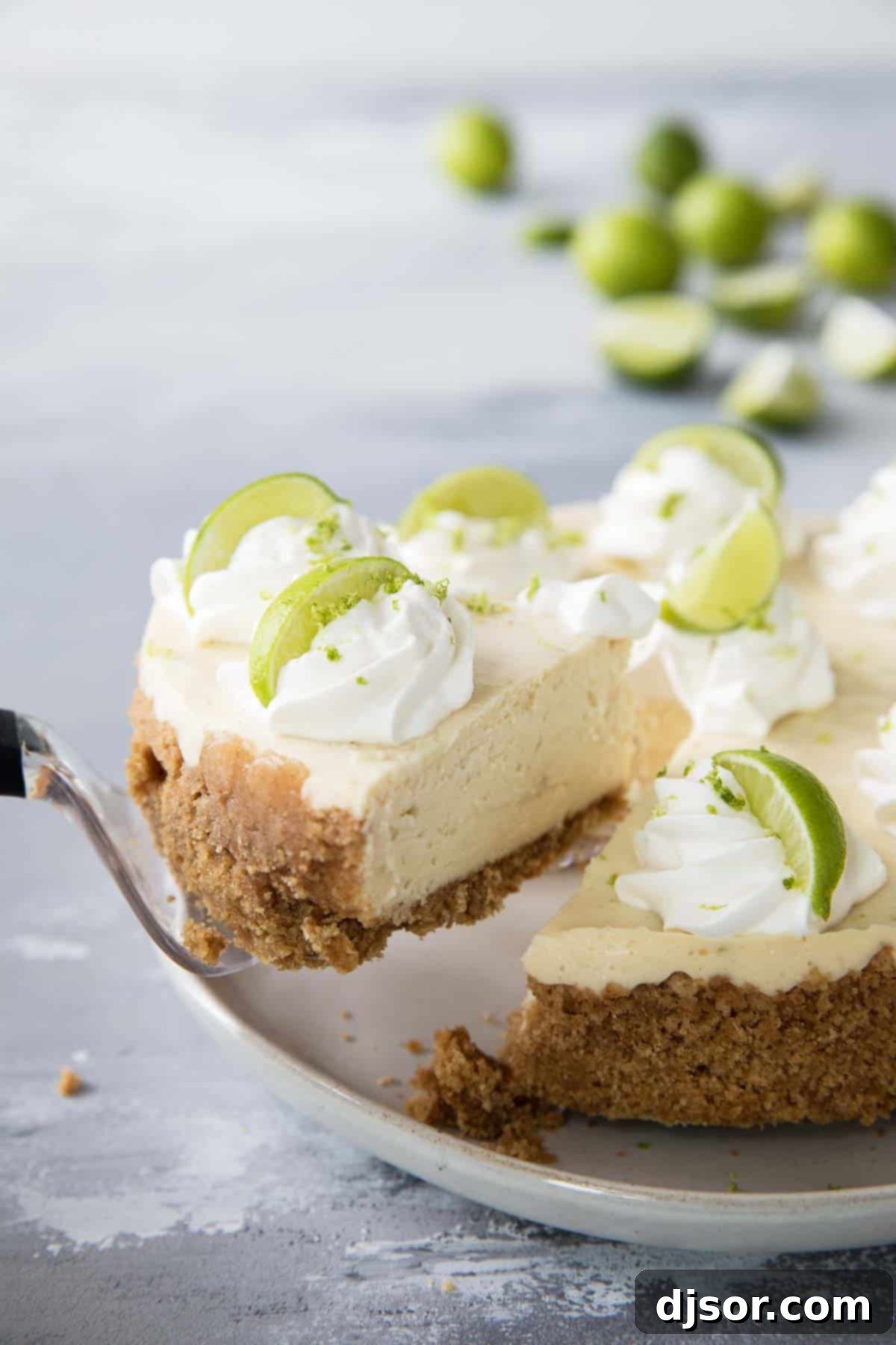 Instant Pot Cheesecake Slice with Graham Cracker Crust Close-up slice of creamy Instant Pot Cheesecake with a golden graham cracker crust