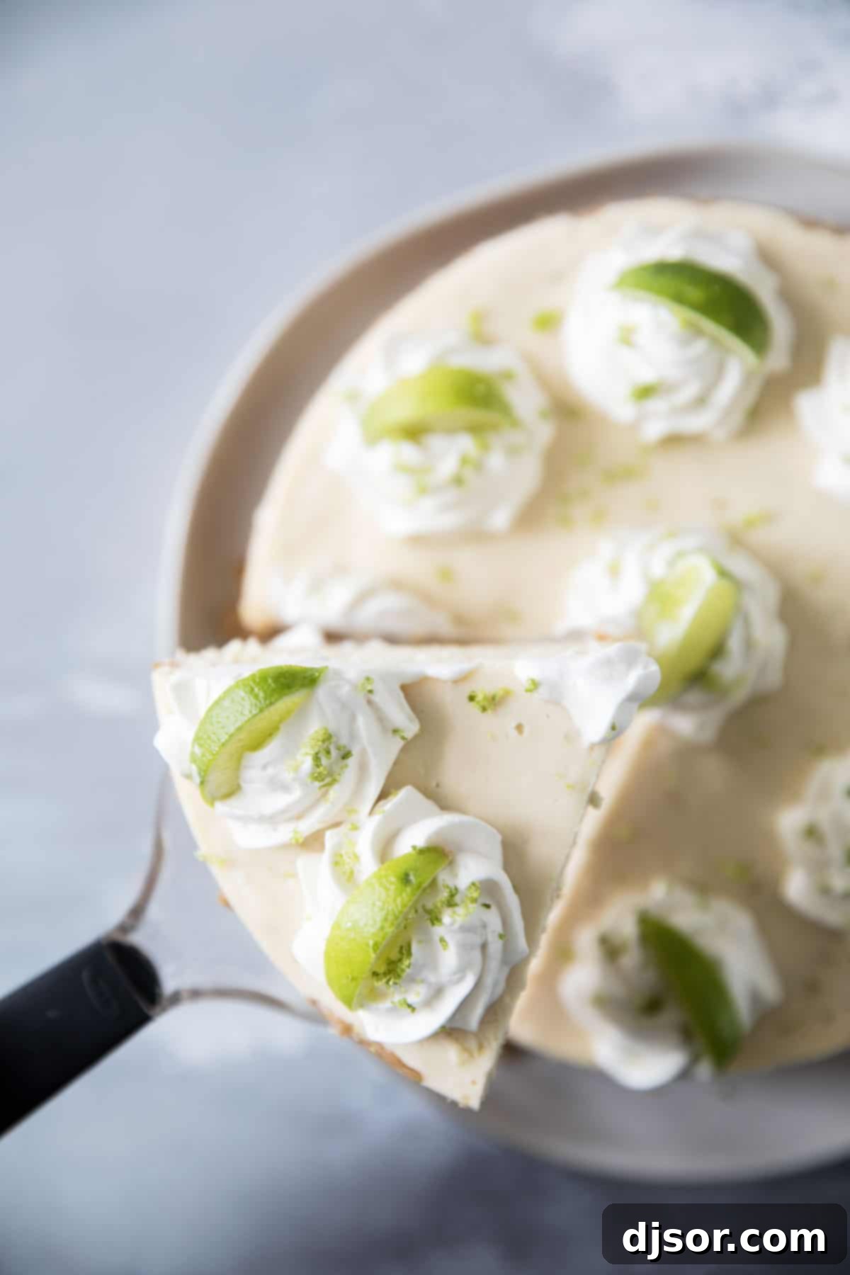 Creamy Instant Pot Cheesecake Slice Perfectly baked slice of Instant Pot Cheesecake