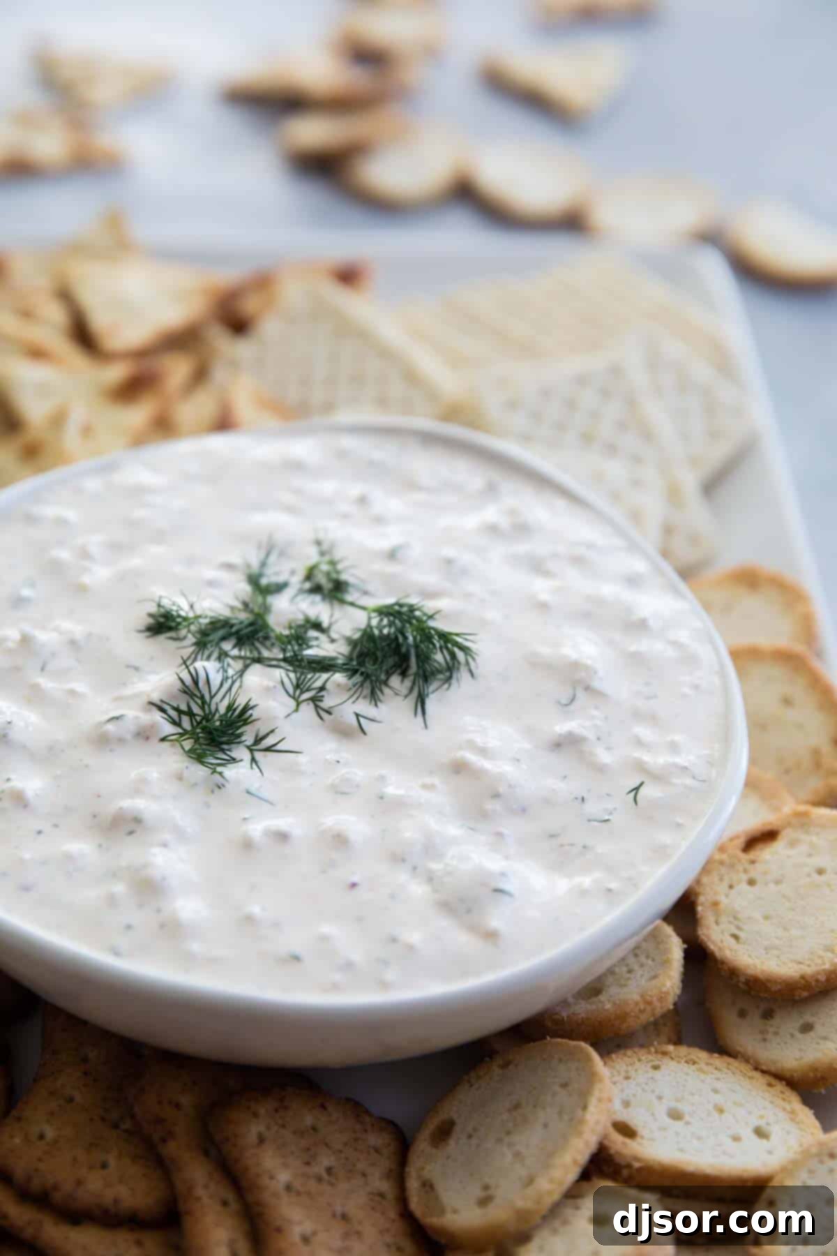 Easy Crab Dip - A perfect appetizer for any occasion Easy Crab Dip Recipe with canned crab, garnished with fresh dill and served with crackers.