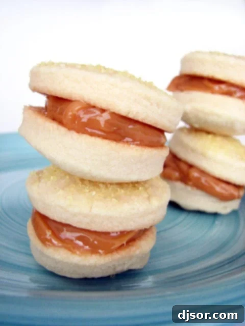 Alfajores de Dulce de Leche - Traditional South American Cookie Sandwich Delicious Alfajores de Dulce de Leche cookies stacked artfully on a plate, showcasing their golden-brown edges and creamy filling.