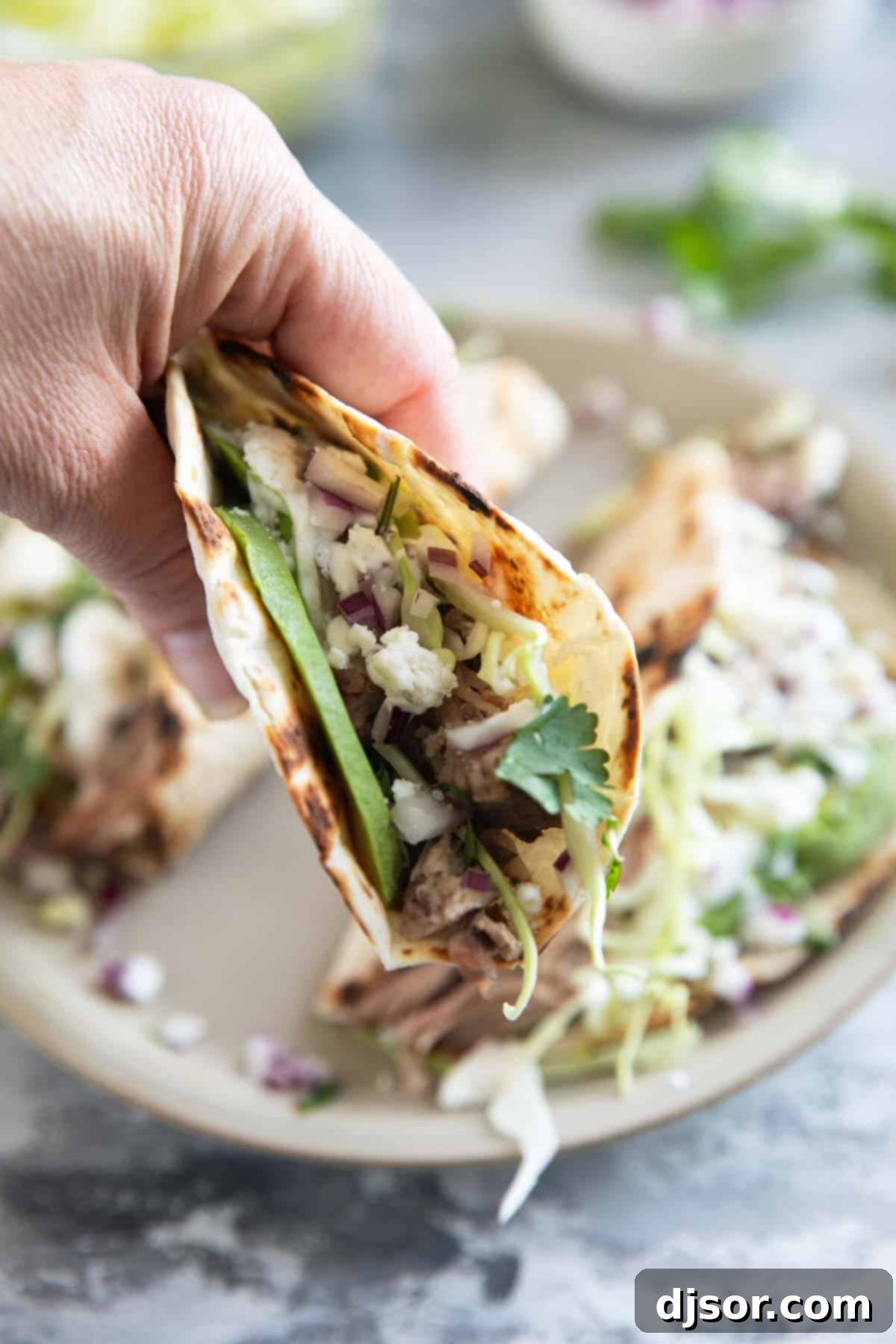 A hand holding a vibrant shredded pork taco with a perfectly charred flour tortilla and fresh toppings.