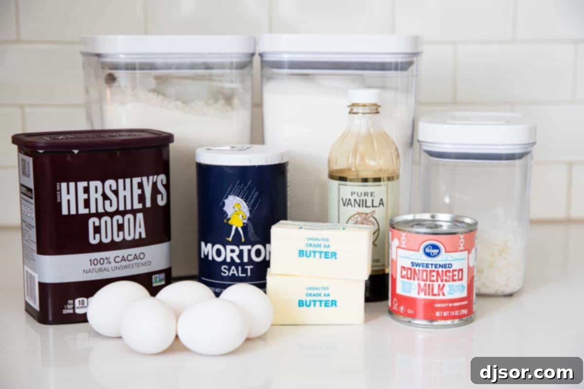 Fresh ingredients laid out for making coconut brownies, including butter, eggs, sugar, flour, cocoa powder, shredded coconut, and condensed milk.