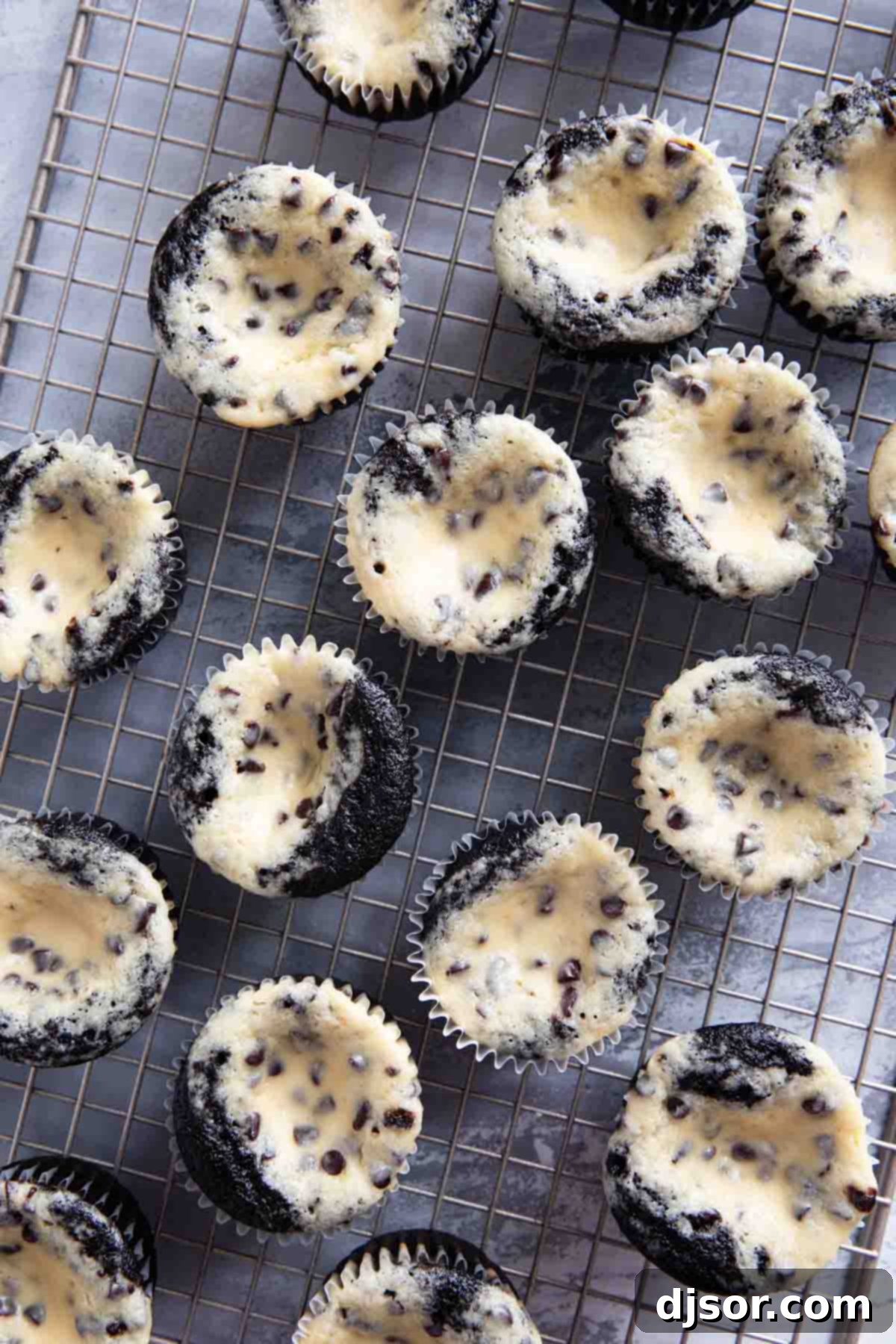 Freshly baked Black Bottom Cupcakes cooling on a wire rack.