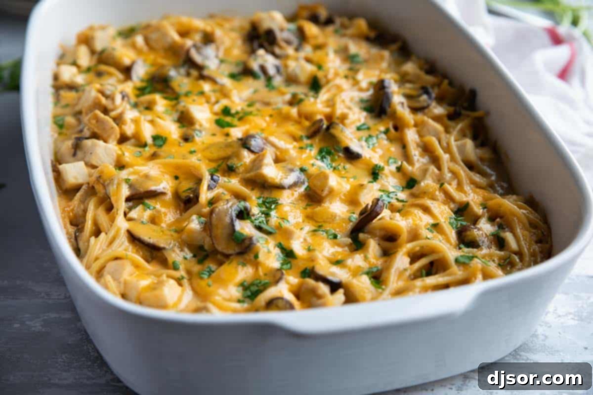 White casserole dish filled with chicken tetrazzini, garnished with fresh parsley.