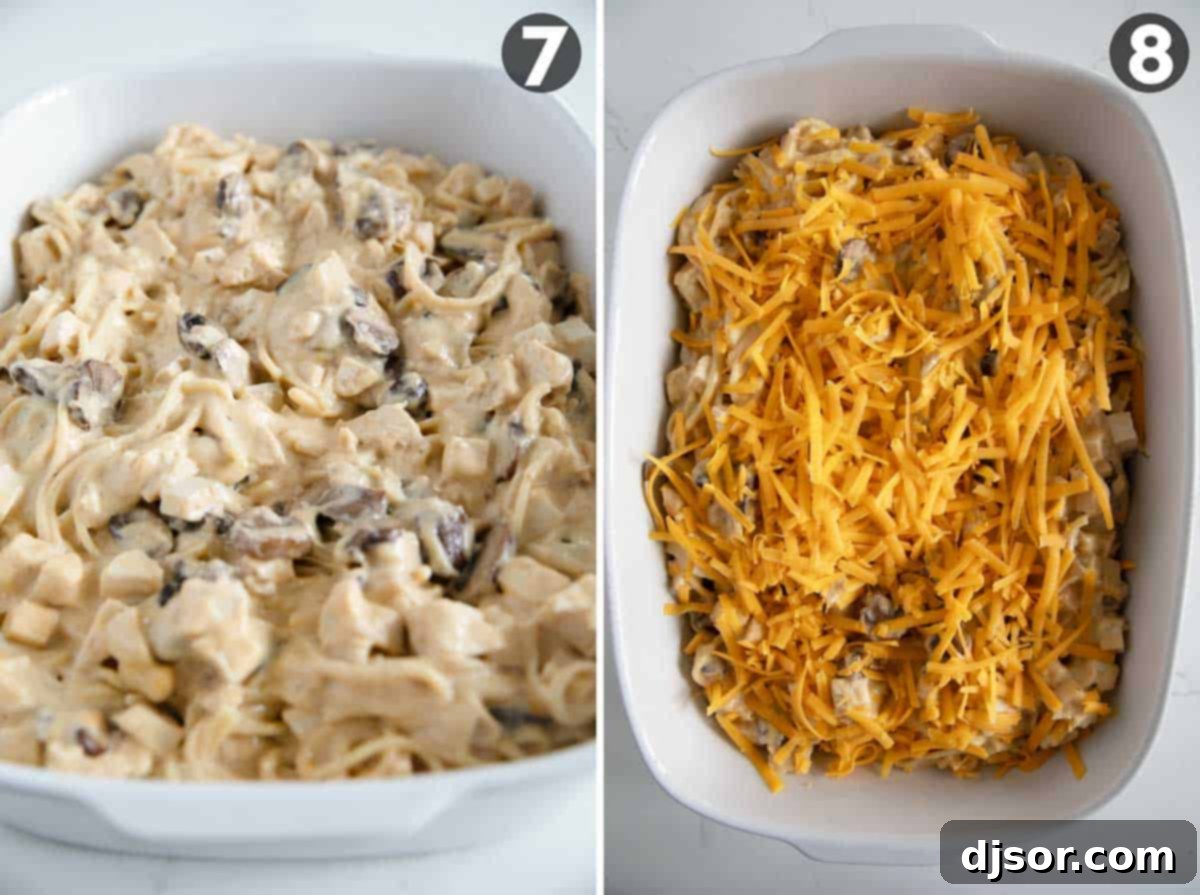 Chicken tetrazzini mixture in a baking dish, topped with shredded cheddar cheese before baking.