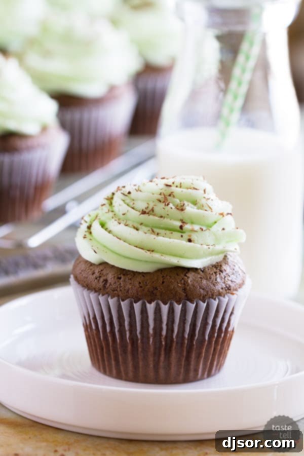 Rich chocolate cupcakes topped with smooth and creamy mint Swiss meringue buttercream frosting.
