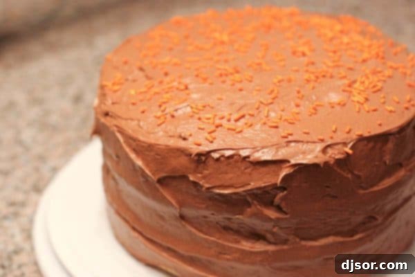 Whole sweet potato cake with chocolate icing, perfect for autumn desserts and holiday gatherings.