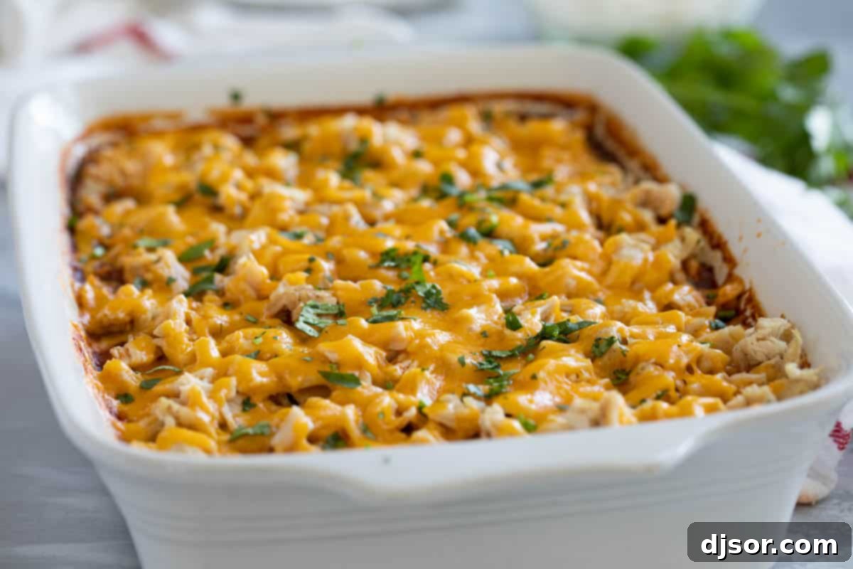 A fully baked Chicken Tamale Casserole, golden and bubbly with melted cheese, fresh out of the oven in a large casserole dish.