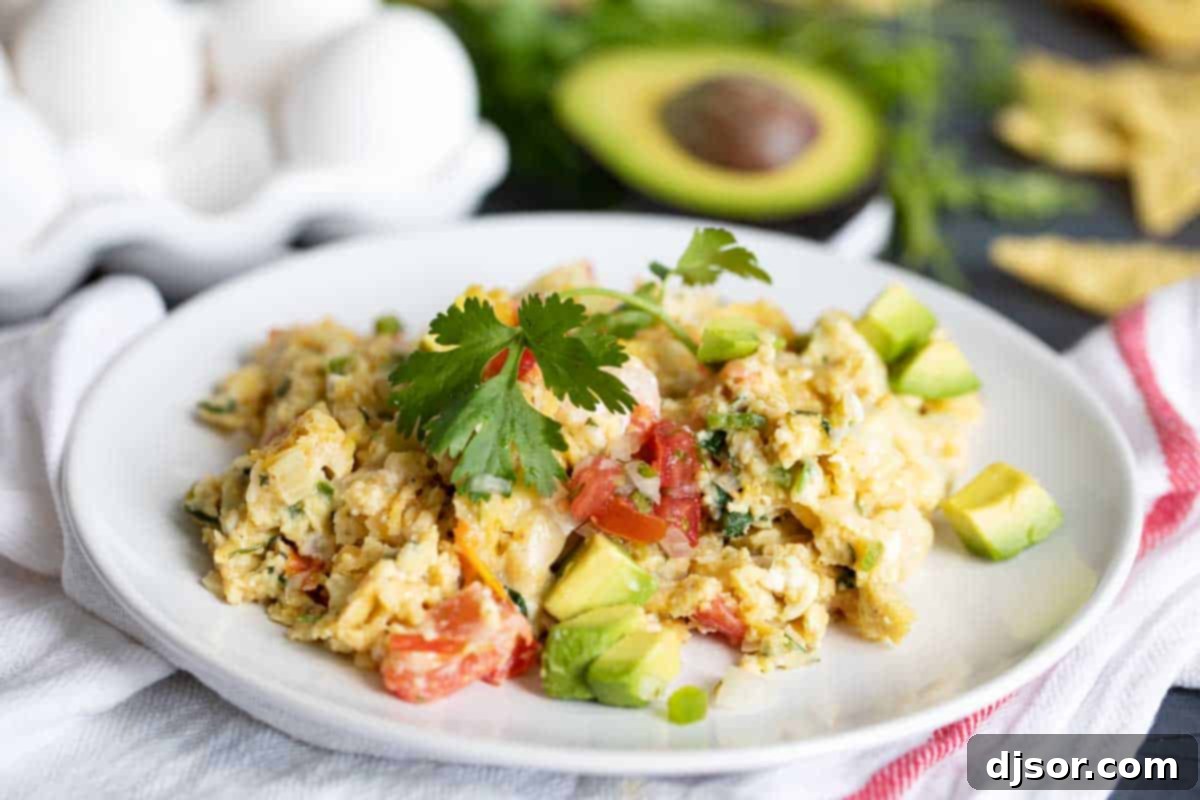 A vibrant portion of Migas served on a white plate, beautifully garnished with fresh cilantro and creamy avocado slices, ready to be enjoyed.