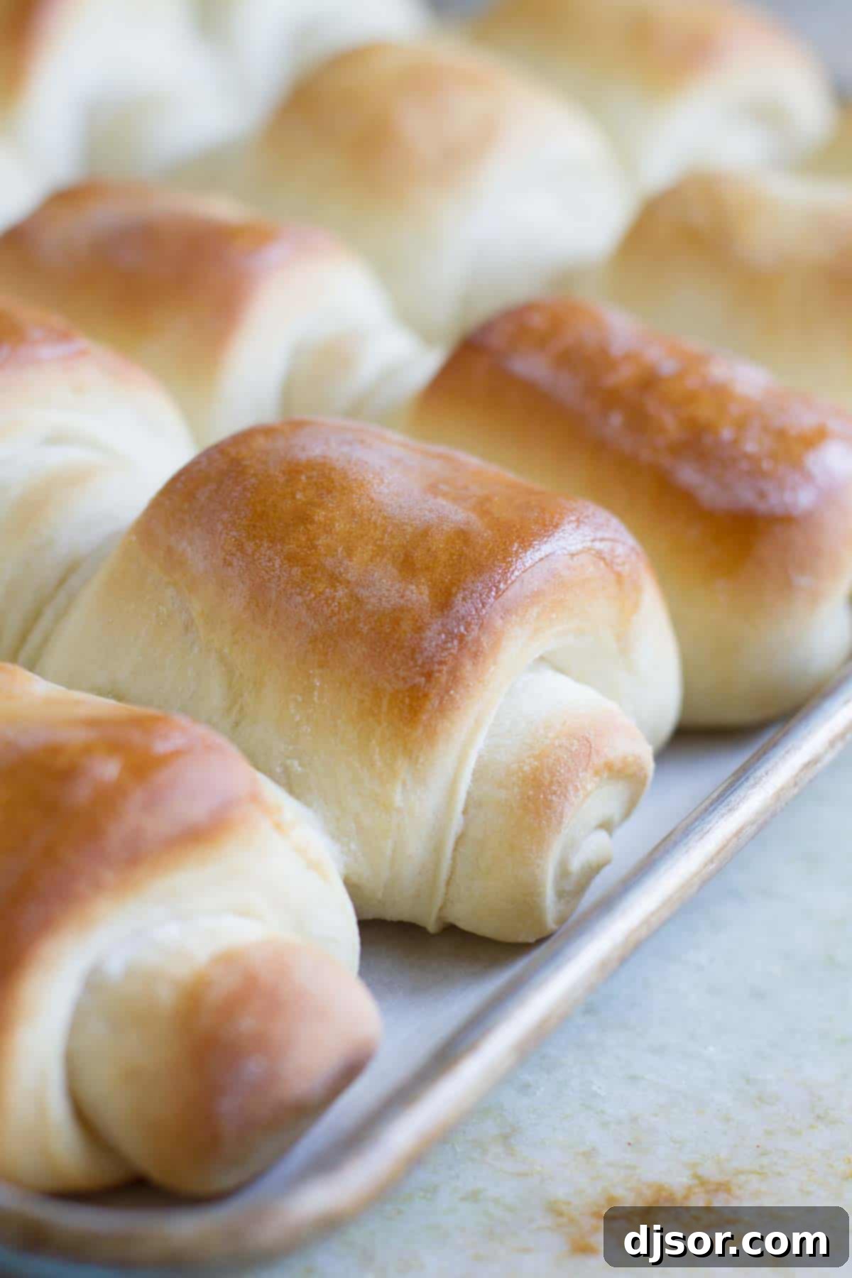 The Famous Lion House Rolls: A Recipe for Soft and Buttery Perfection Perfectly baked golden-brown Lion House Dinner Rolls arranged on a plate, highlighting their soft texture and iconic fold.
