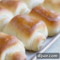 Lion House Signature Rolls 2 Lion House Rolls Dinner Rolls