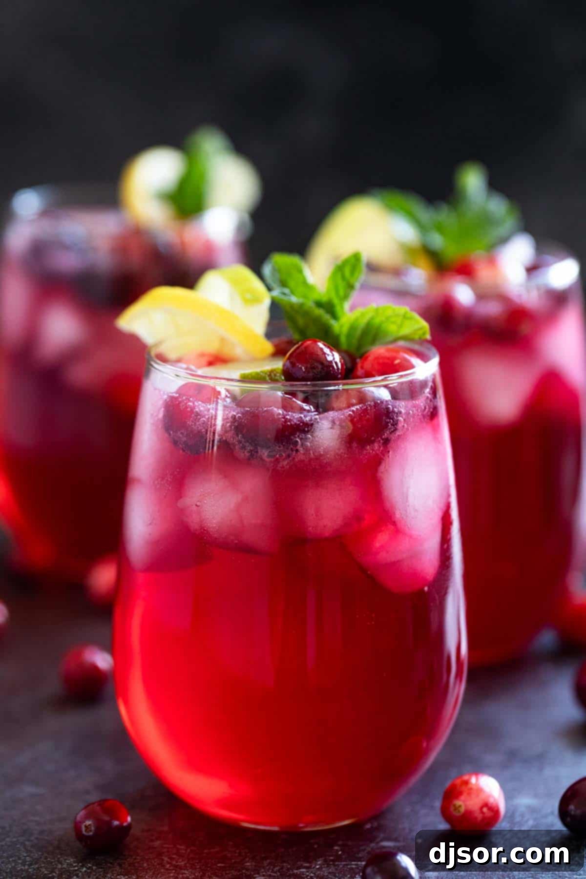 Three individual servings of virgin Cranberry Spritzers, each beautifully garnished with fresh lemon and lime slices.