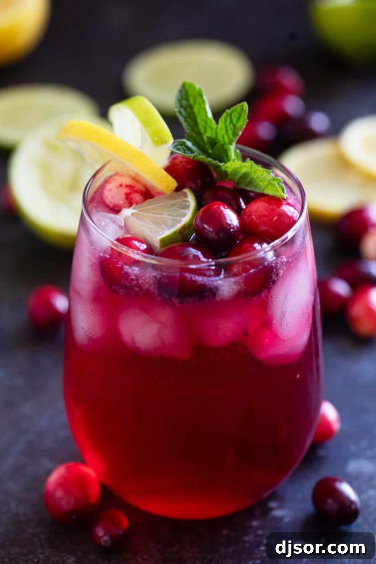 A beautifully garnished Cranberry Spritzer, topped with fresh cranberries, slices of lime and lemon, and a sprig of mint for added flair.