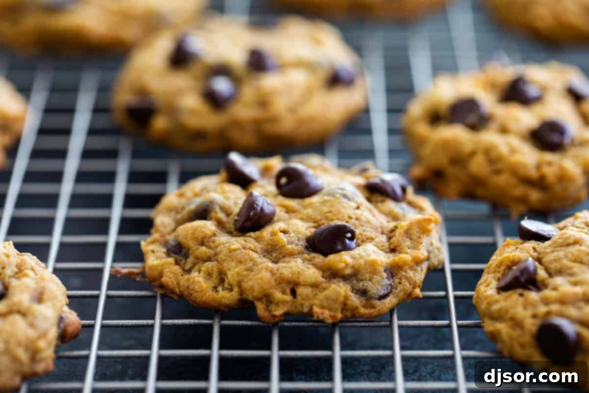 The perfect taste of fall, these Oatmeal Pumpkin Chocolate Chip Cookies are filled with hearty oats, fall spices, and plenty of pumpkin flavor. Freshly baked Oatmeal Pumpkin Chocolate Chip Cookies cooling on a wire rack, ready to be enjoyed.