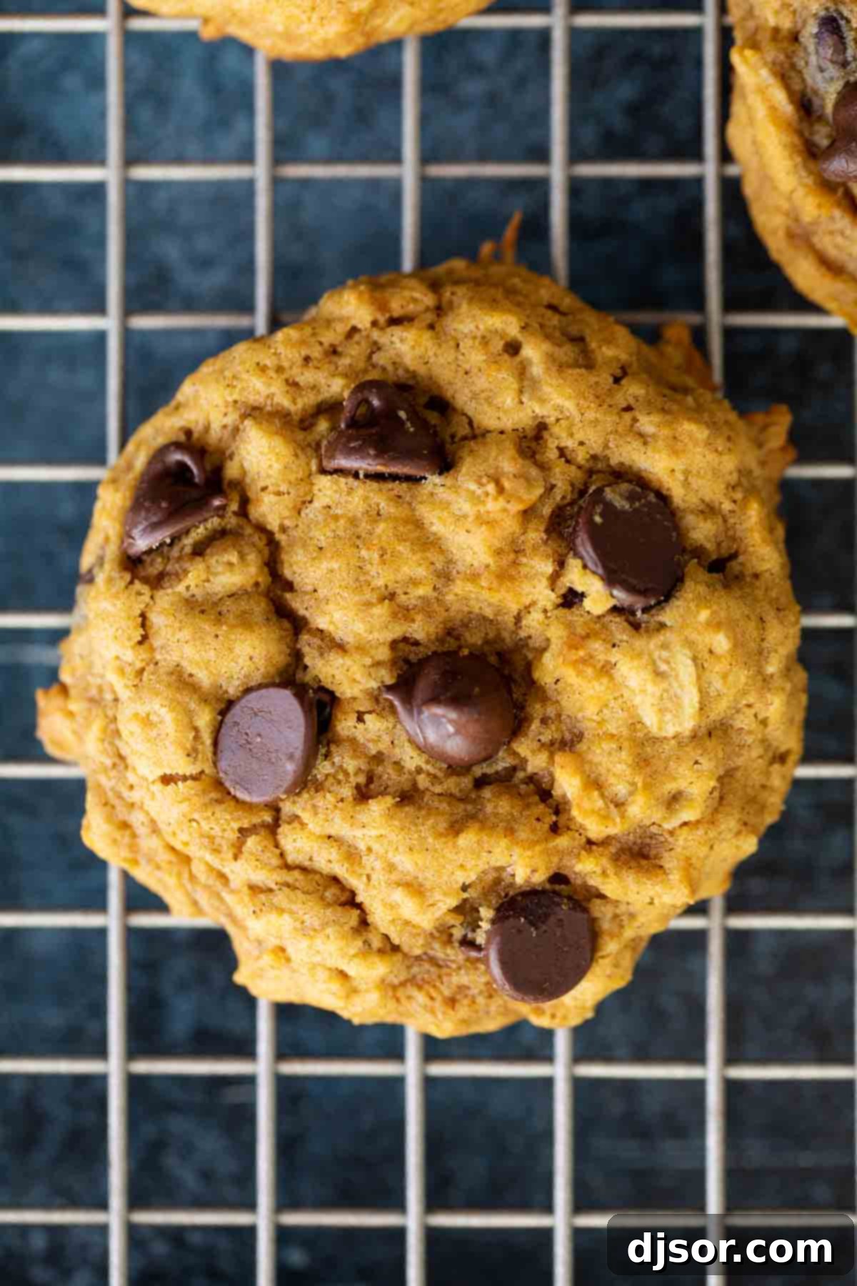 The perfect taste of fall, these Oatmeal Pumpkin Chocolate Chip Cookies are filled with hearty oats, fall spices, and plenty of pumpkin flavor. Detailed close-up of a pumpkin oatmeal chocolate chip cookie, highlighting its rich texture and melted chocolate.