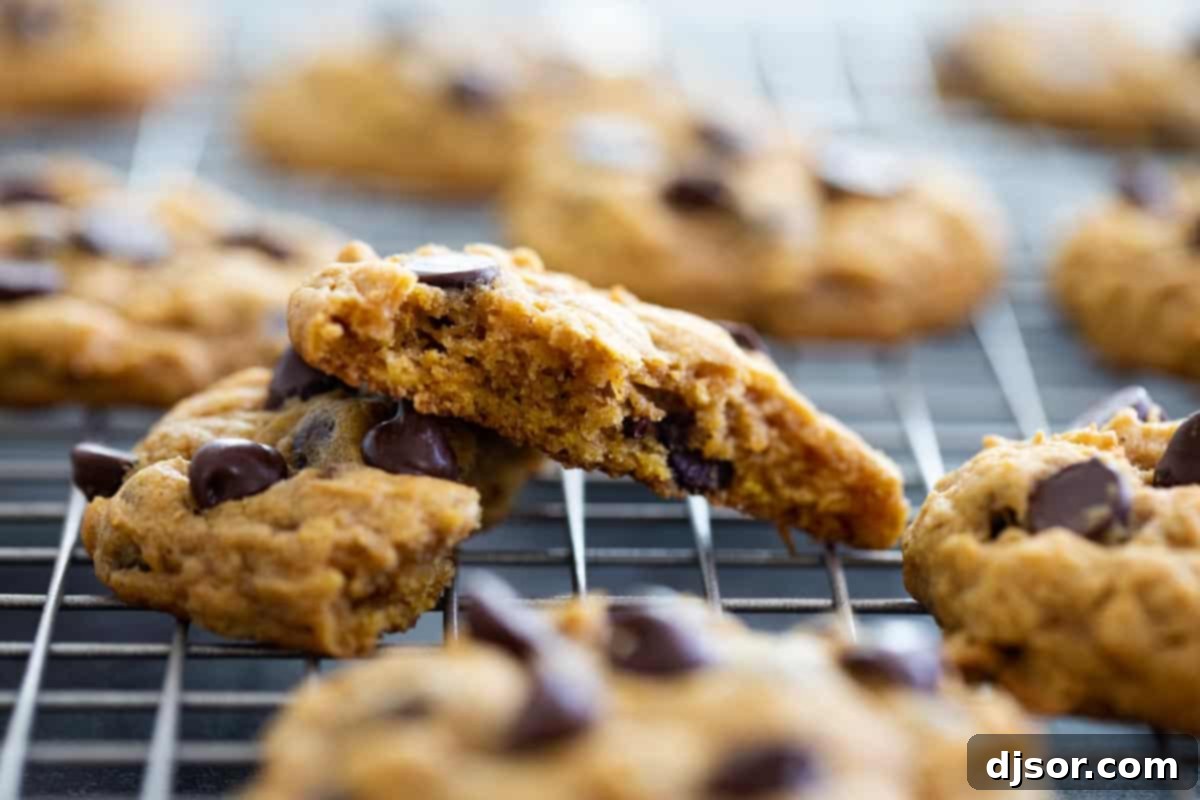 The perfect taste of fall, these Oatmeal Pumpkin Chocolate Chip Cookies are filled with hearty oats, fall spices, and plenty of pumpkin flavor. An Oatmeal Pumpkin Chocolate Chip Cookie broken in half, revealing its chewy interior and melted chocolate.