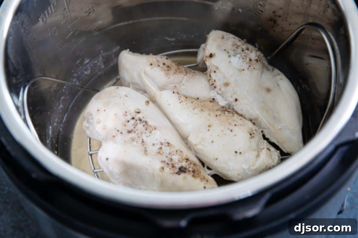Instant Pot Chicken Breasts
