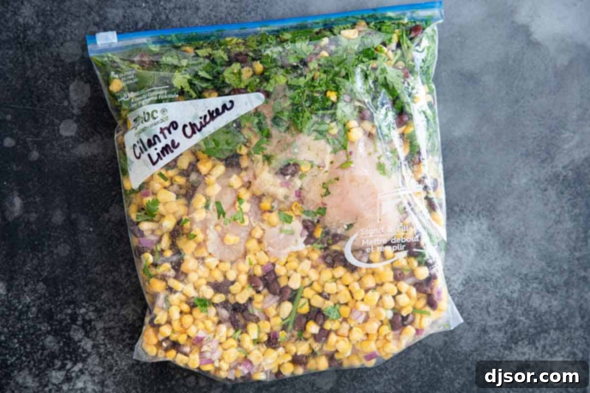 Freezer to slow cooker meal in a ziplock bag.
