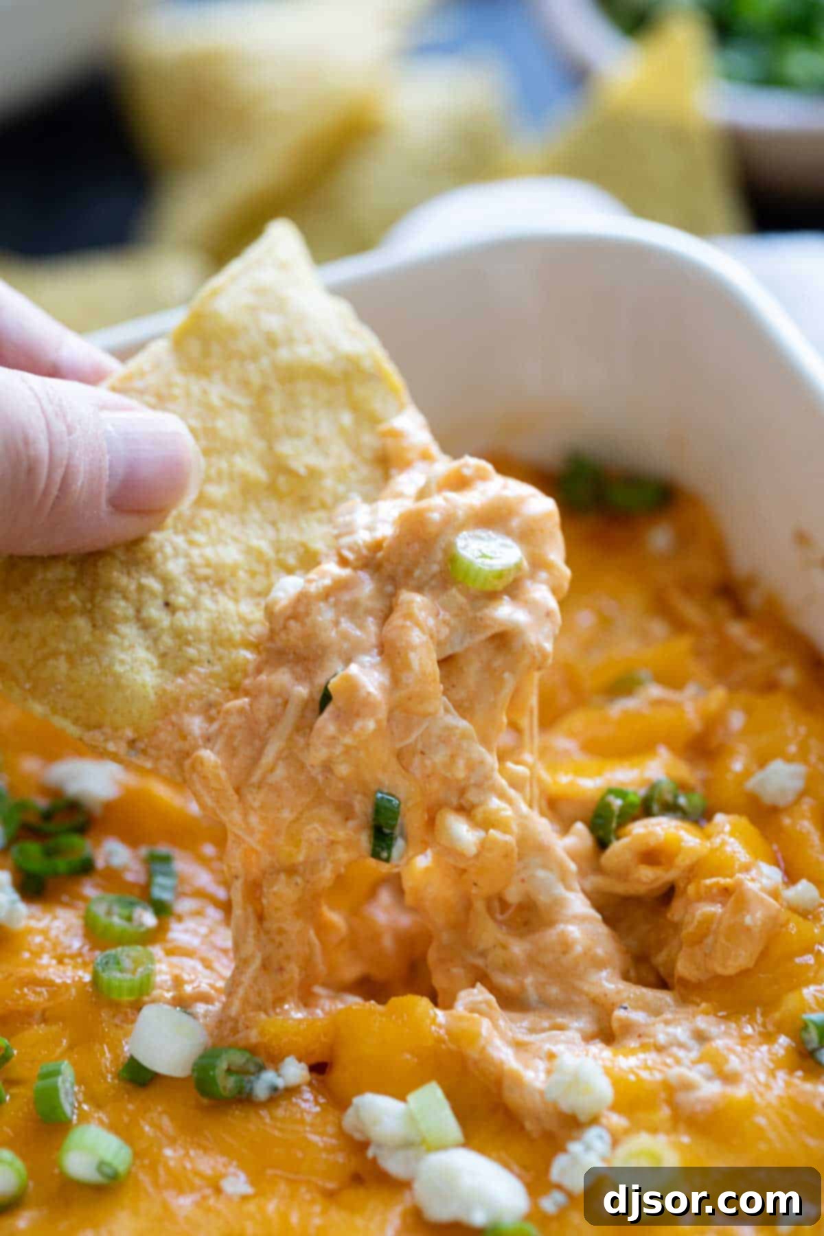 A tortilla chip being dipped into a creamy, spicy Buffalo Chicken Dip, a classic appetizer.