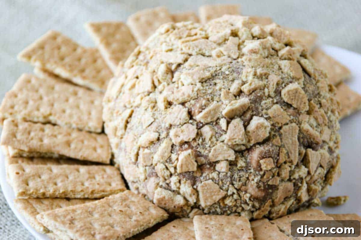 S'mores cheese ball on a plate surrounded by graham crackers, ready to be served.