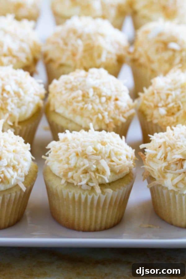 Coconut Cloud Cupcakes 2 True coconut lovers will appreciate these Coconut Snowball Cupcakes! Coconut cupcakes are filled with a coconut pastry cream and then frosted with a coconut buttercream. Top them off with toasted coconut for the ultimate coconut treat!