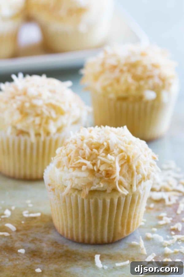 Coconut Cloud Cupcakes 3 Coconut cupcakes with a generous swirl of coconut buttercream and toasted coconut topping