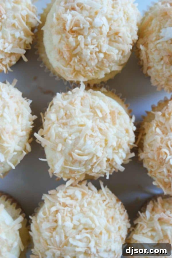 Coconut Cloud Cupcakes 5 A tray of freshly baked Coconut Snowball Cupcakes, ready to be enjoyed