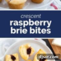 Raspberry Brie Crescent Puffs 2 Delicious Crescent Raspberry Brie Bites, a perfect party appetizer.