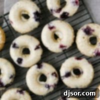 Baked Blueberry Cherry Doughnut Delights 6 Blueberry Cherry Baked Donuts on a cooling rack, ready to be enjoyed.