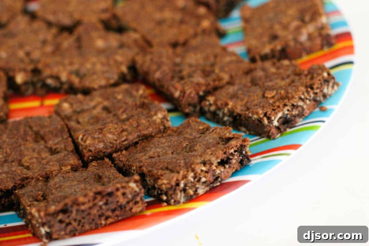Chocolate Oatmeal Chippers - The Perfect Homemade Treat Chocolate Oatmeal Chippers on a striped plate, freshly baked and cut into squares