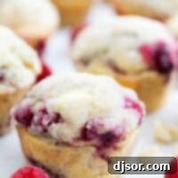 Raspberry White Chocolate Chip Delights 2 raspberry muffin with white chocolate chips with fresh raspberry on the side