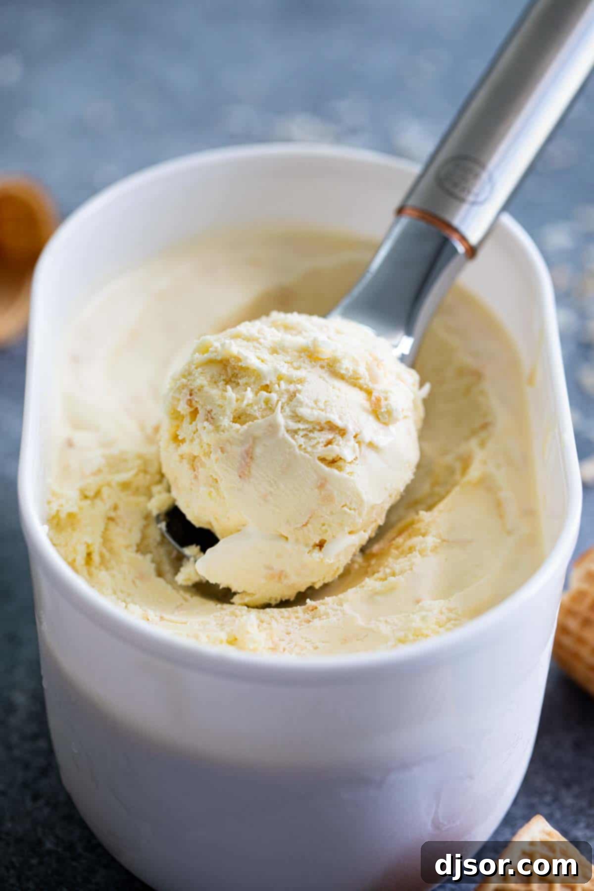 Homemade ice cream with toasted coconut